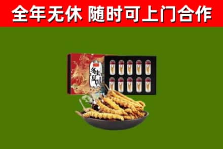 辛集回收冬虫夏草价格